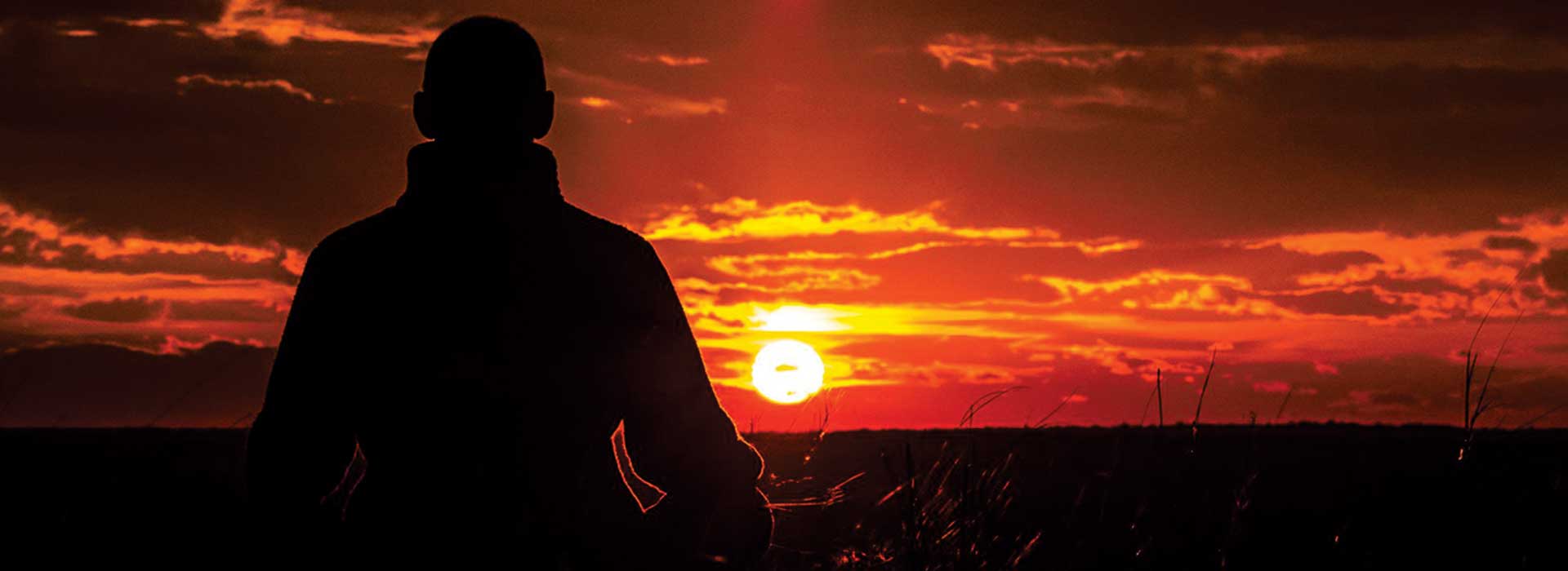 antiparazitni program