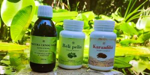 Antiparazitni program