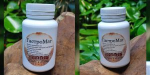 Poremećaj varenja rešava GASTROMAG