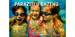Paraziti u vodi: Zaštitite se tokom kupanja – prirodnim putem