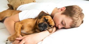 Sedam parazita koje možete pokupiti od kućnih ljubimaca