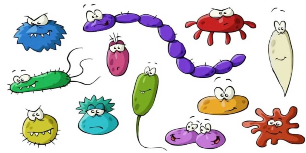 Koji su antiparazitni programi zaista efikasni