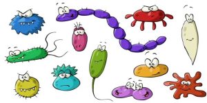 Koji su antiparazitni programi zaista efikasni