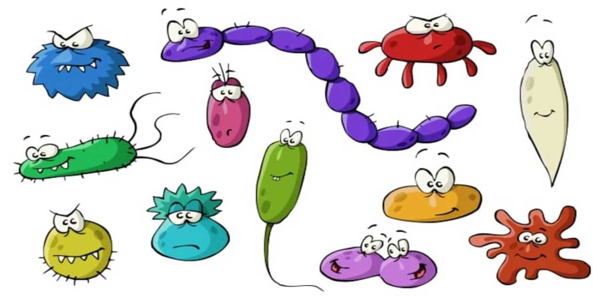 Koji su antiparazitni programi zaista efikasni