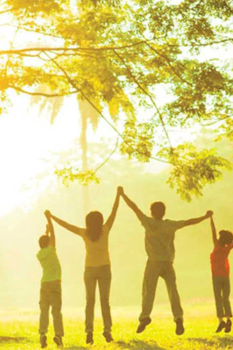 Antiparazitna terapija Vidar